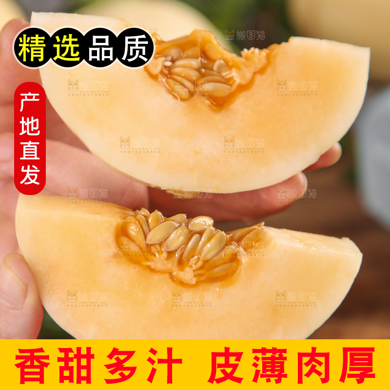 手里拿着东方蜜瓜