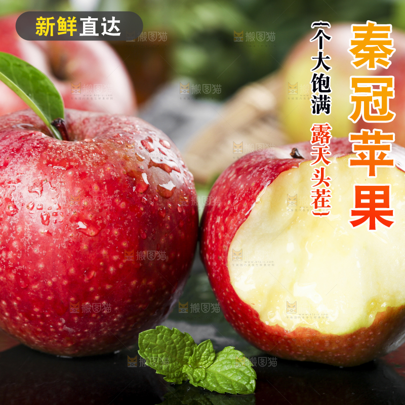 深底上摆放着秦冠苹果