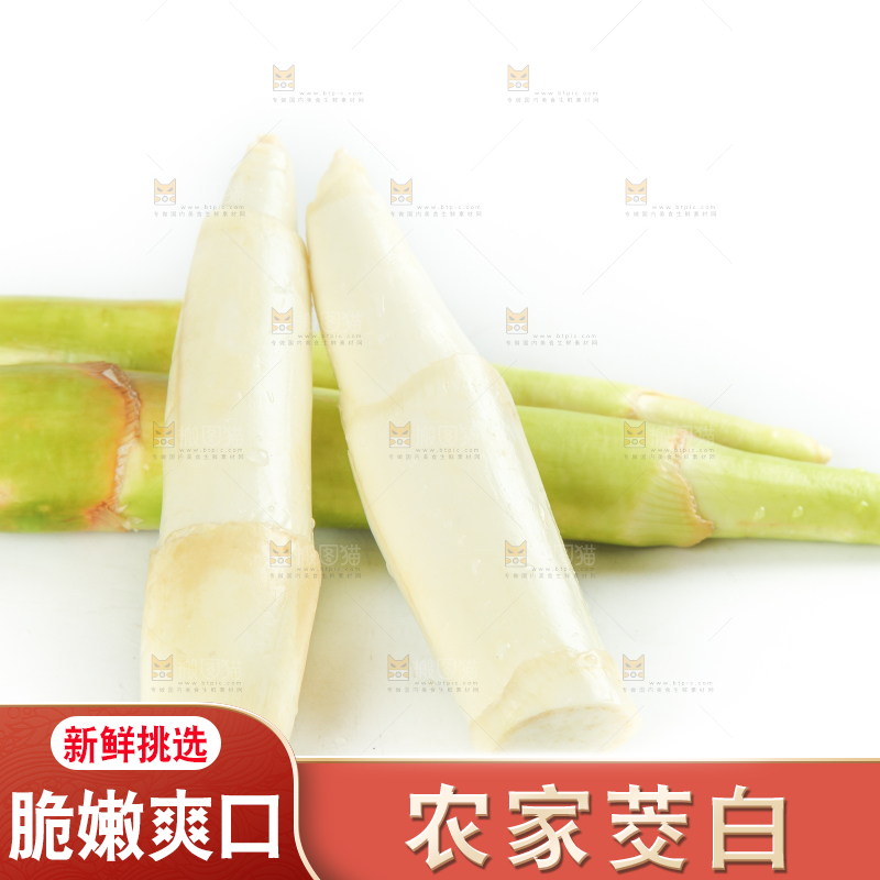 白底上摆放着茭笋