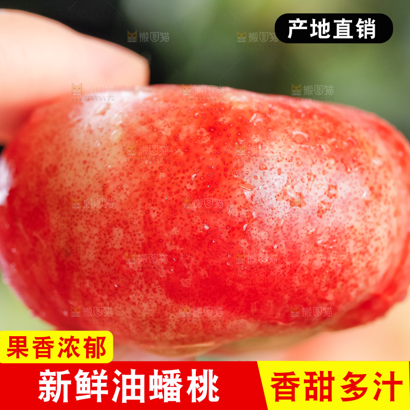手里拿着蟠油桃