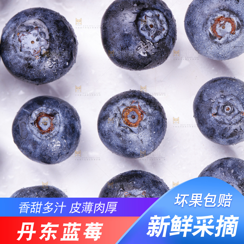 白底上摆放着进口蓝莓