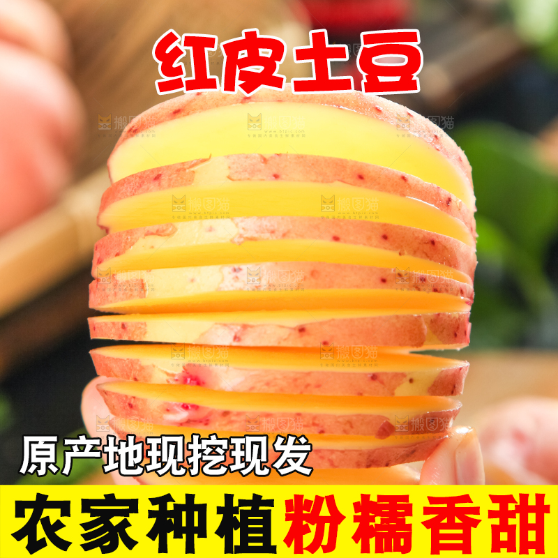 手里拿着红皮土豆