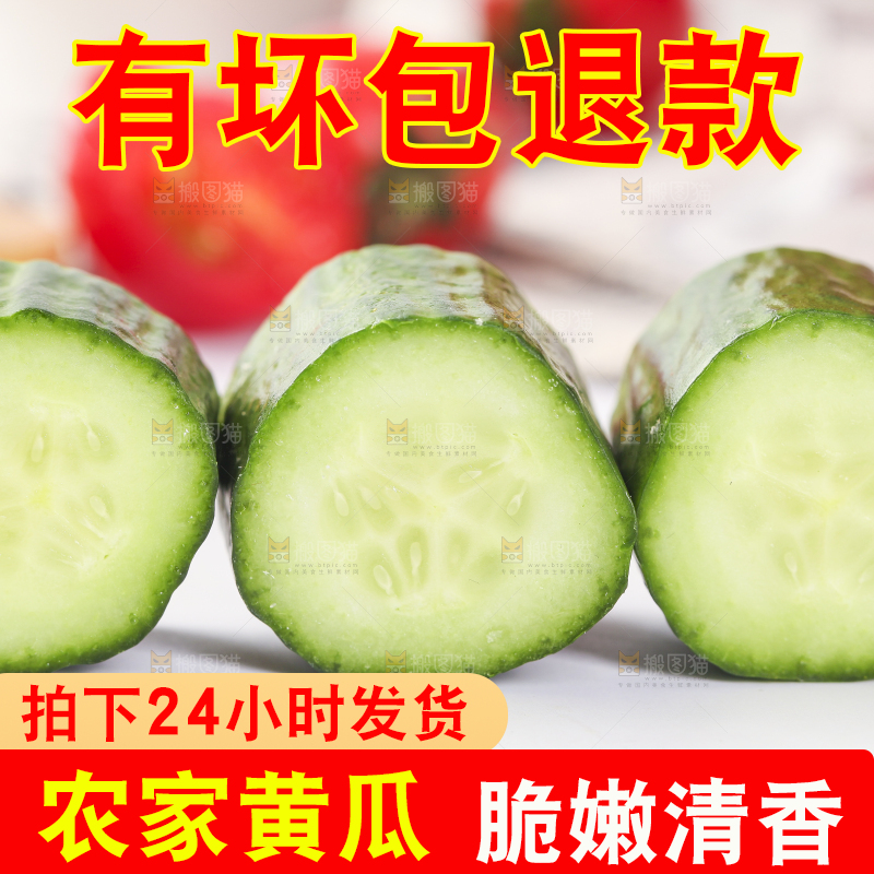 白底上放着切段的小黄瓜
