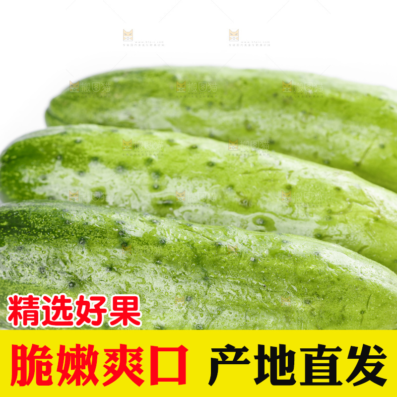 白底上放着刺黄瓜