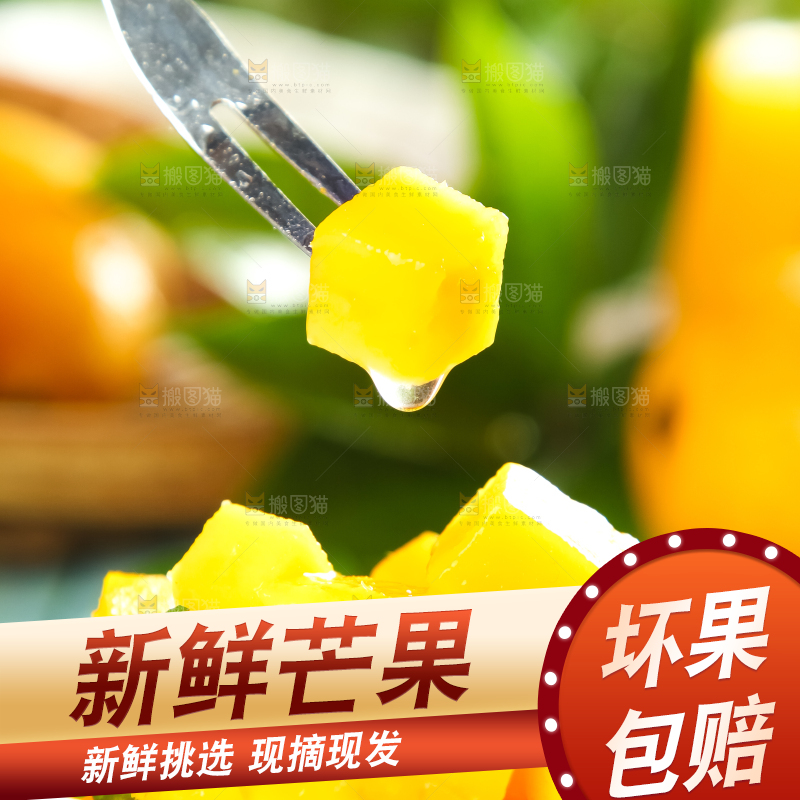 手里端着海南小台农芒果
