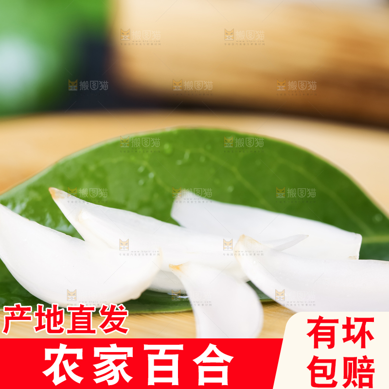 枝叶上摆放着百合