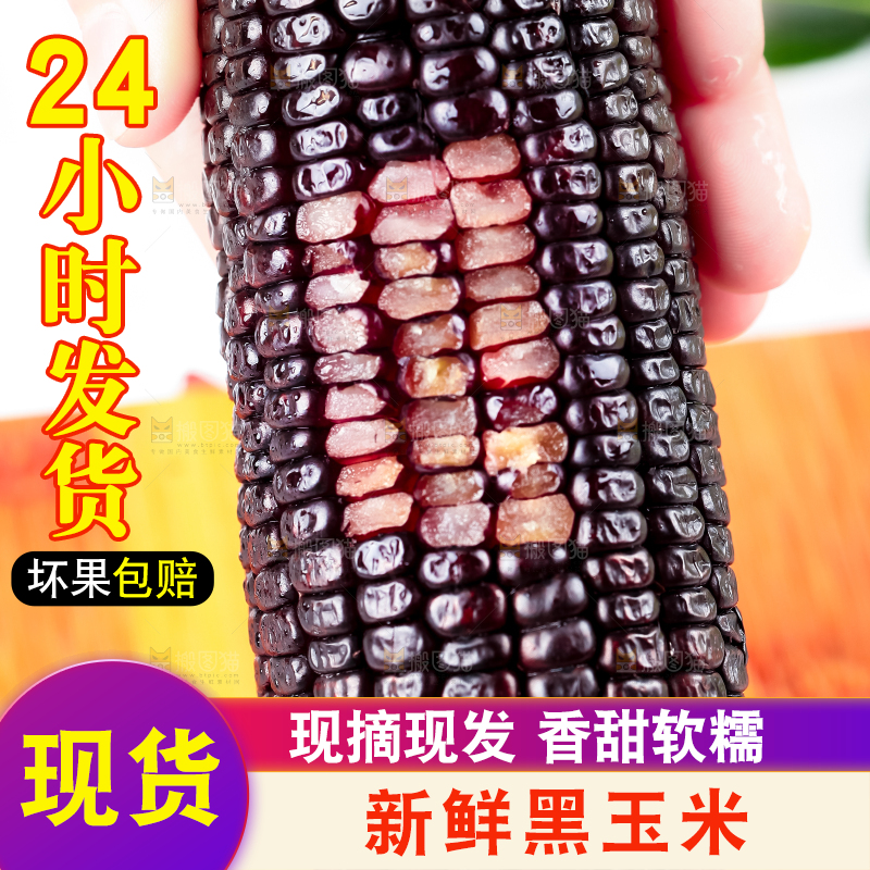 手里拿着紫黑玉米