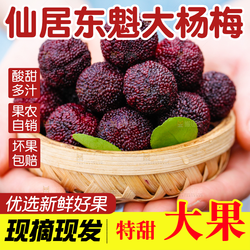 手里端着杨梅