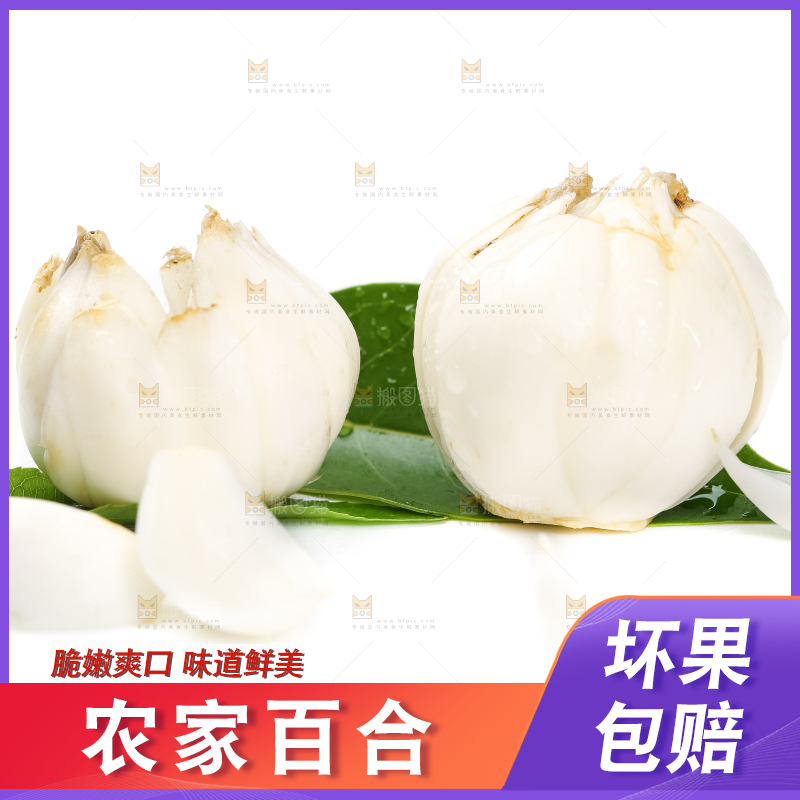 白底上摆放着农家百合