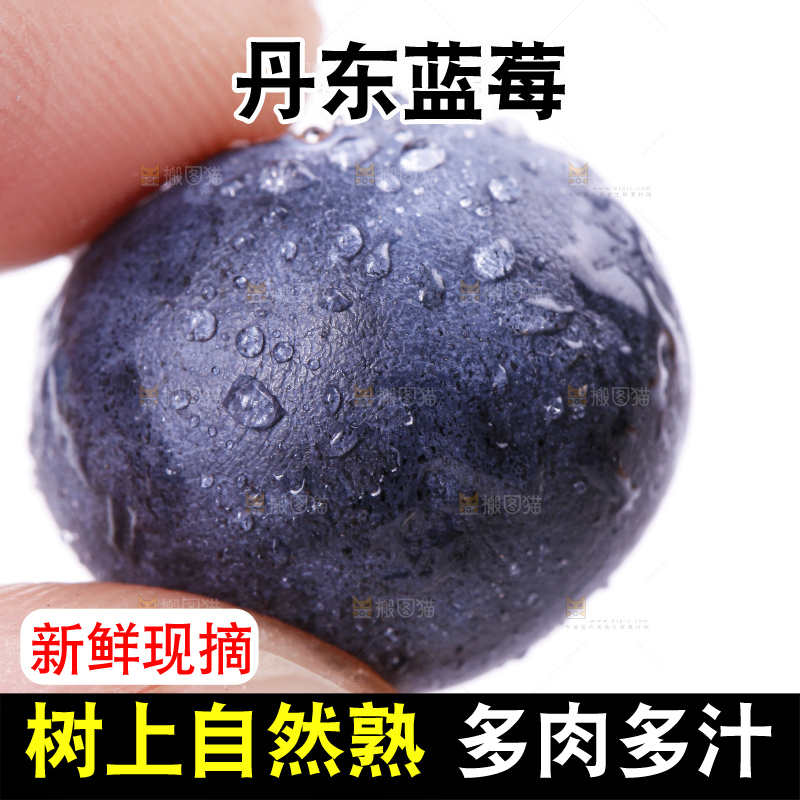 手里拿着蓝莓果