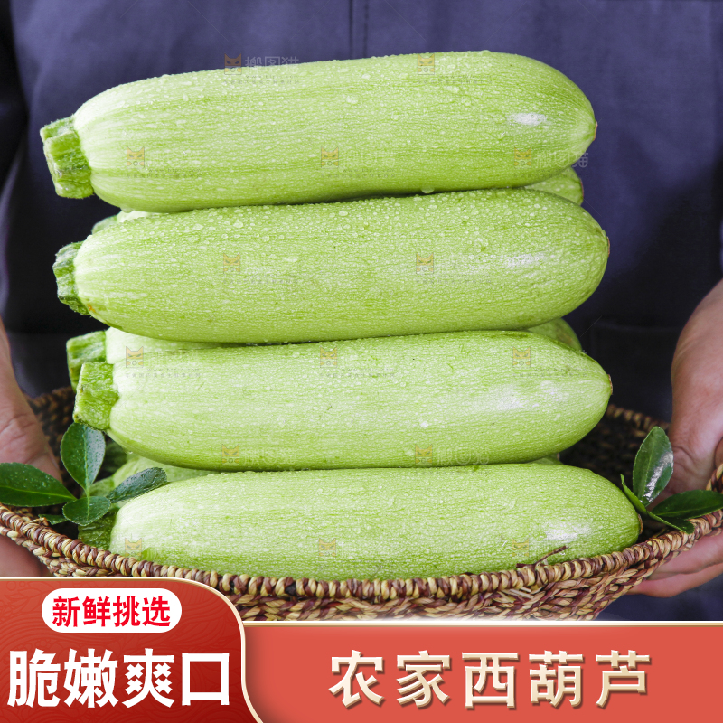 手里拿着西葫芦瓜