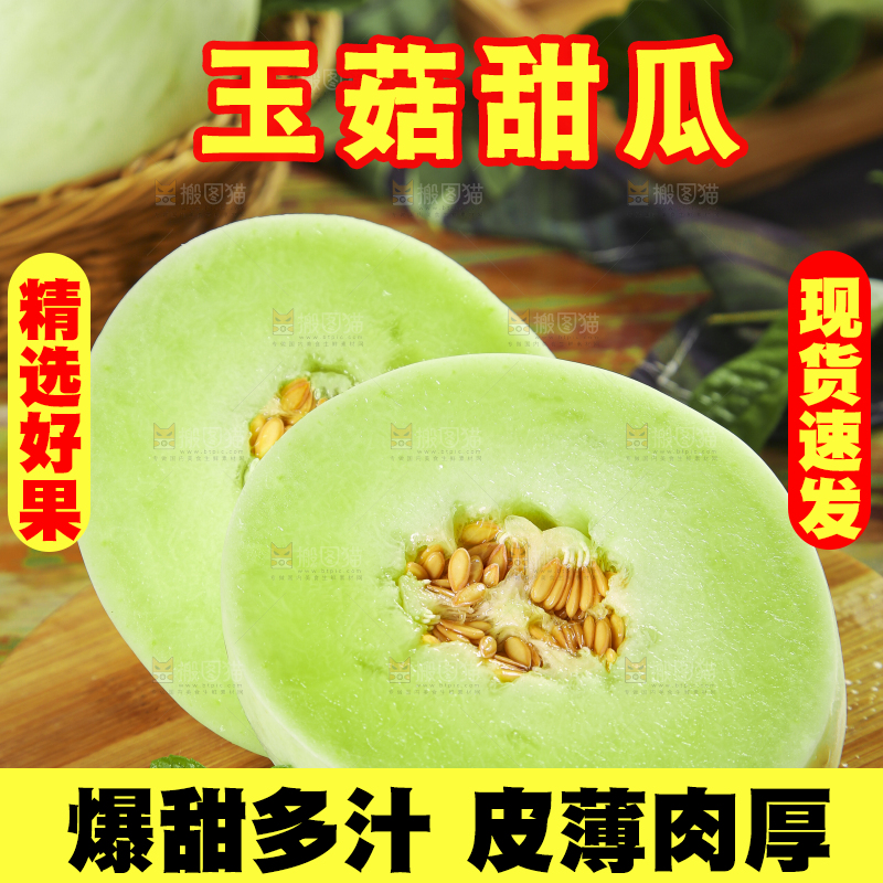 木底上摆放着南汇玉菇甜瓜