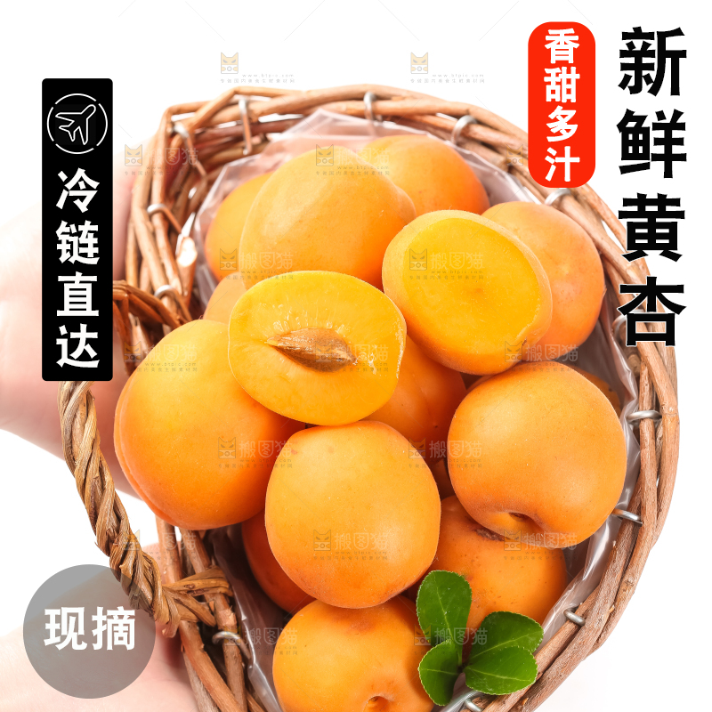篮子里装着杏子