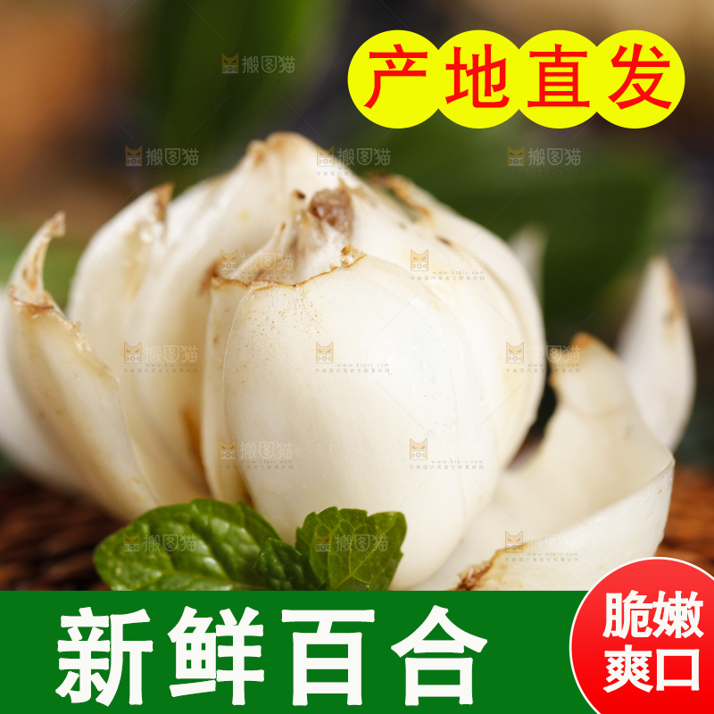 深底上摆放着兰州鲜百合