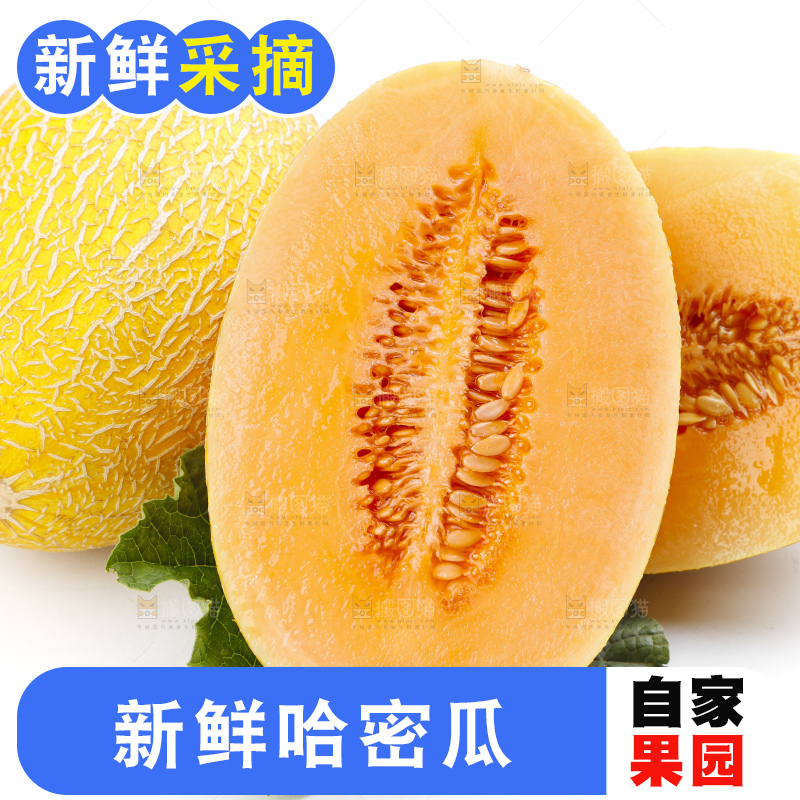 白底上摆放着黄皮蜜瓜