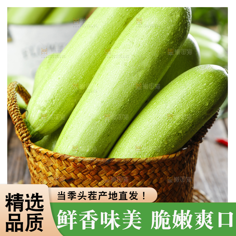 篮子里装着山东西葫芦