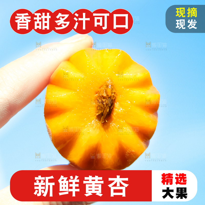 手里拿着黄杏