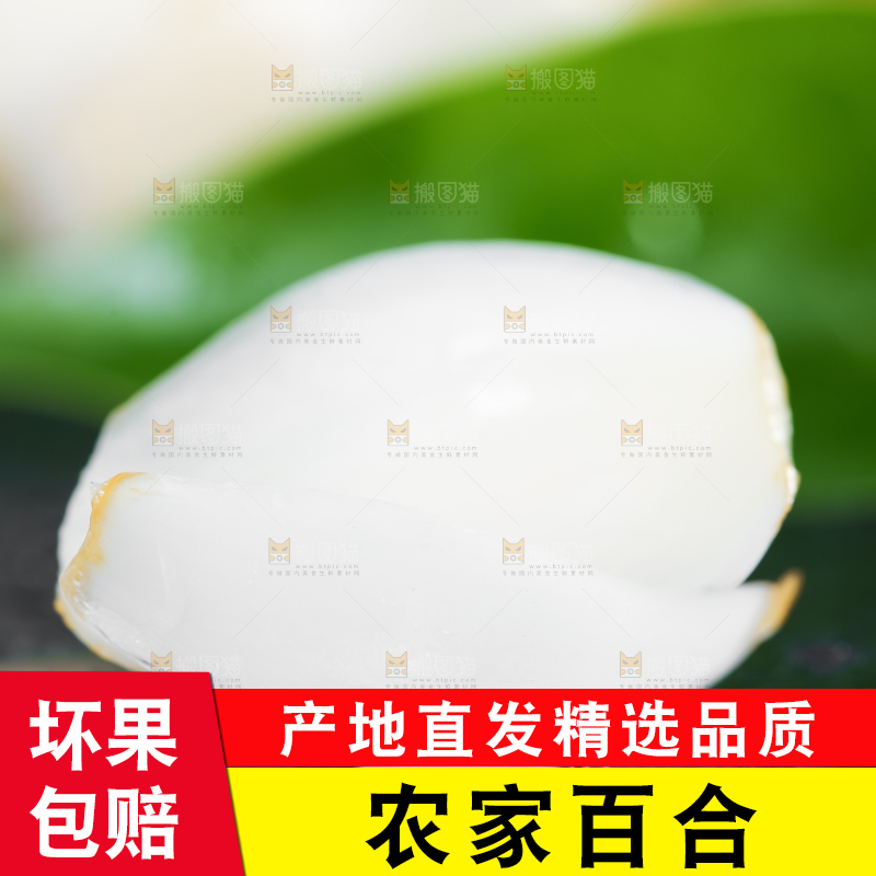 黑底上摆放着鲜百合