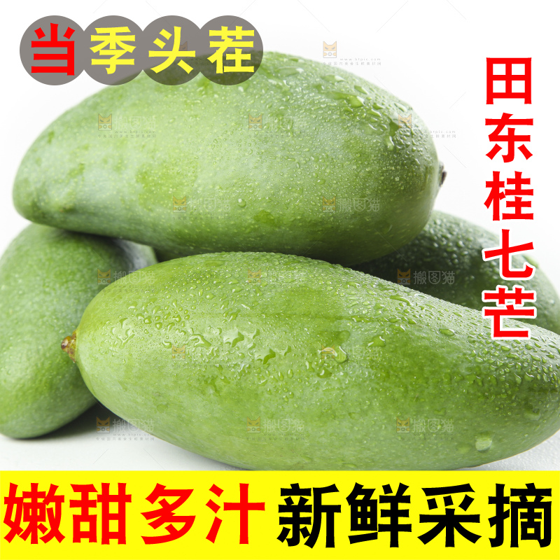 白底上放着青皮桂七芒