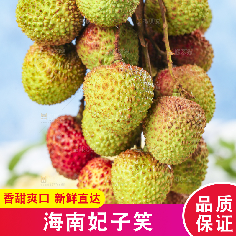 手里拿着妃子笑荔枝
