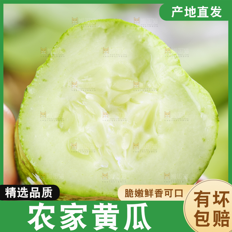 手里拿着青瓜