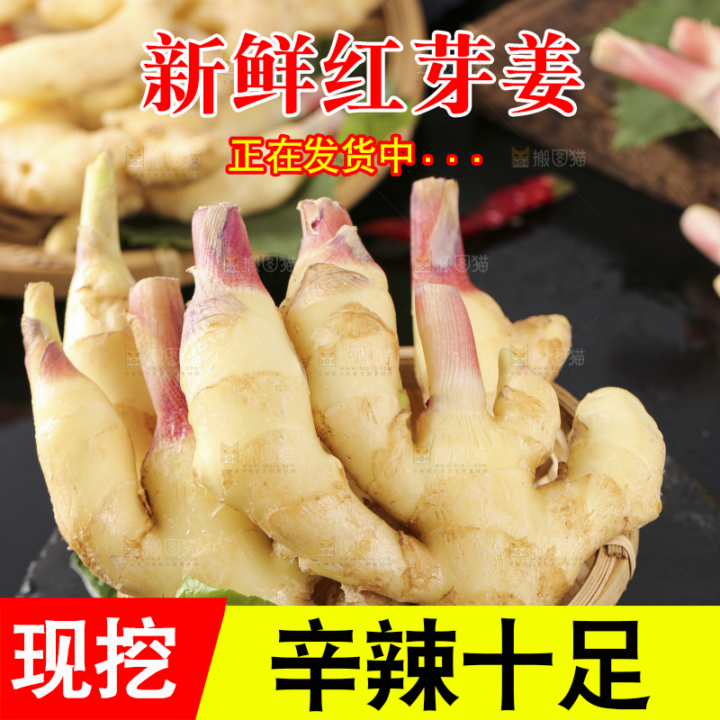 篮子子装着新鲜生姜