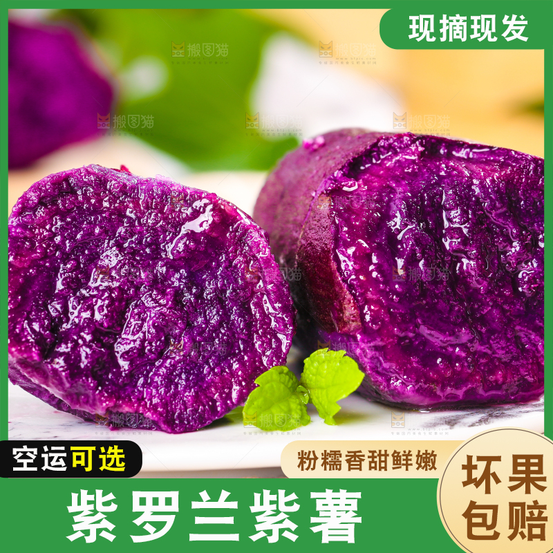 浅底上的板栗紫薯
