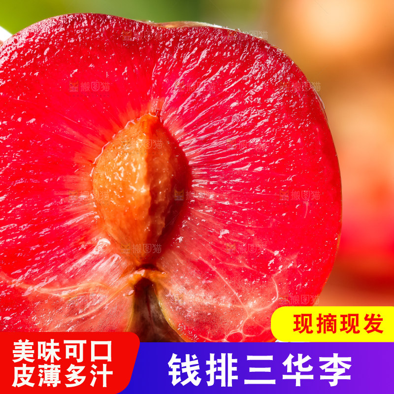 黑底上放着红心三华李