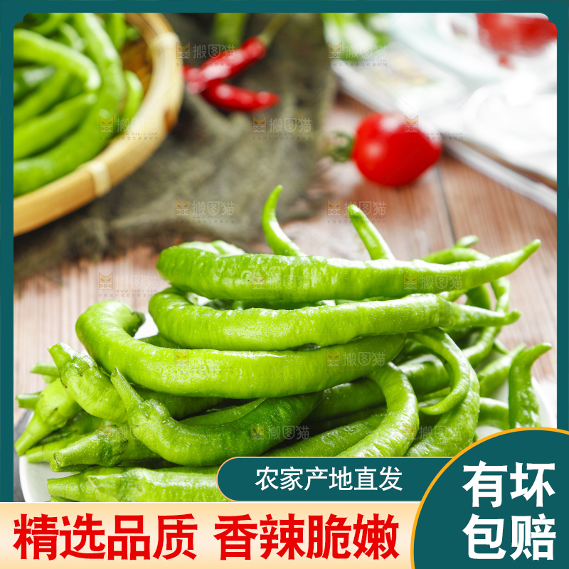 盘子里装着新鲜杭椒