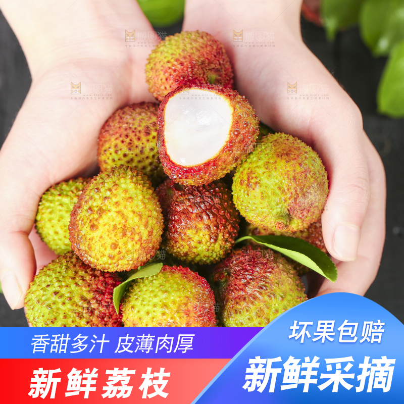 手里捧着妃子笑荔枝