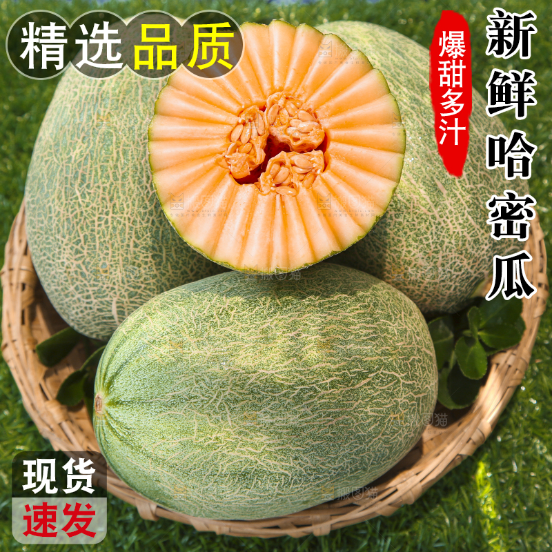 哈密瓜主图