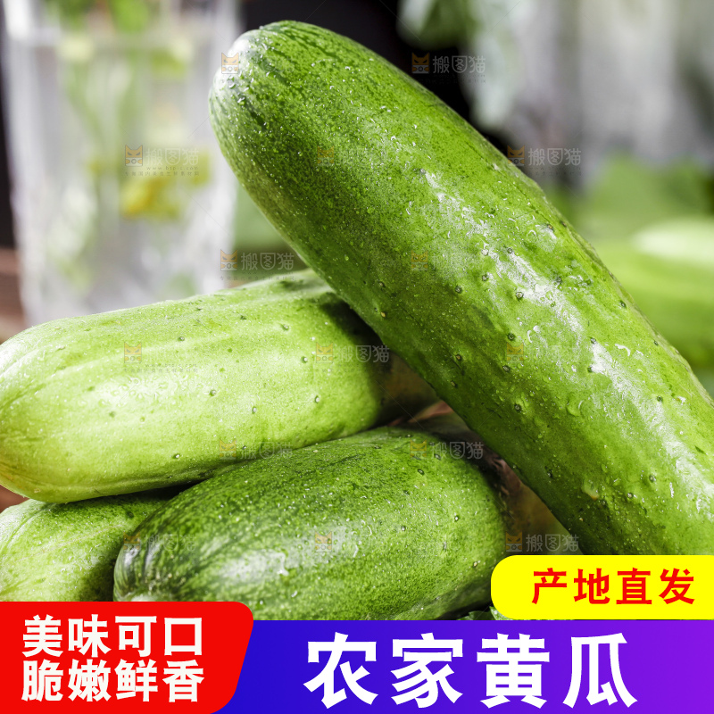 黑底上摆放着青黄瓜