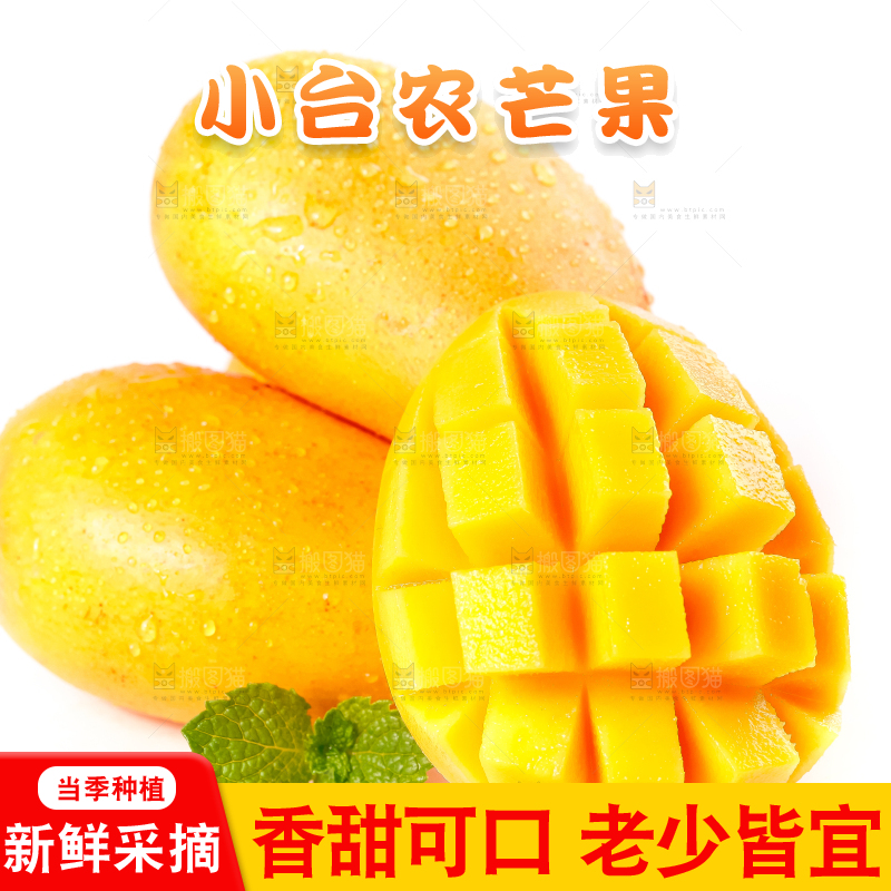 白底上放着台农芒