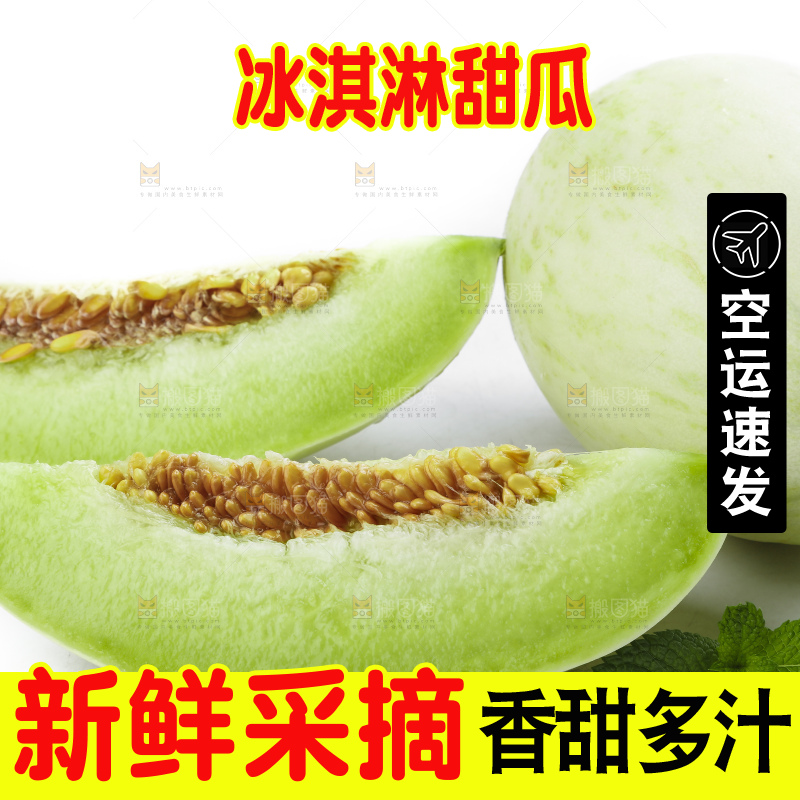 白底上摆放着山东玉菇甜瓜
