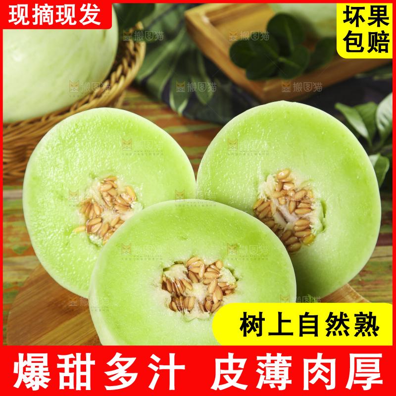 木底上摆放着南汇玉菇甜瓜