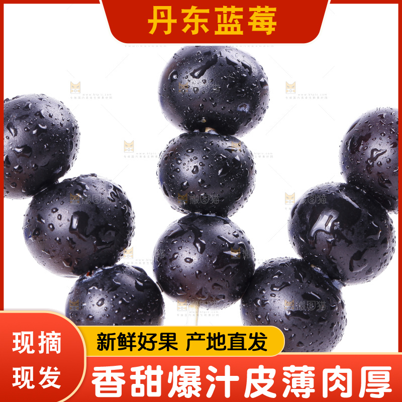 白底上摆放着高山蓝莓