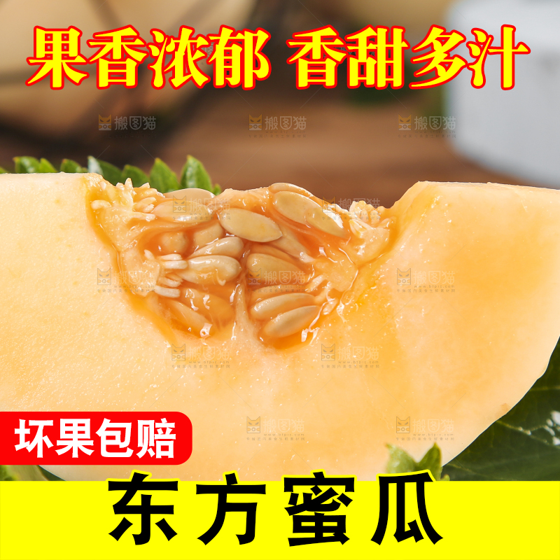 木底上摆放着州东方蜜一号甜瓜