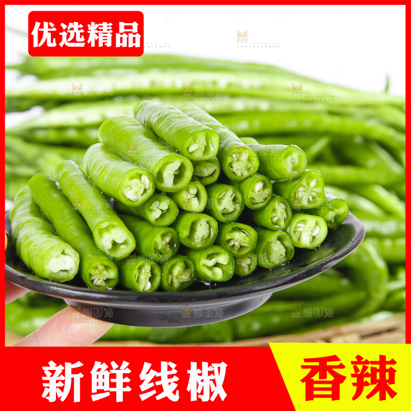 白底上的二荆条辣椒