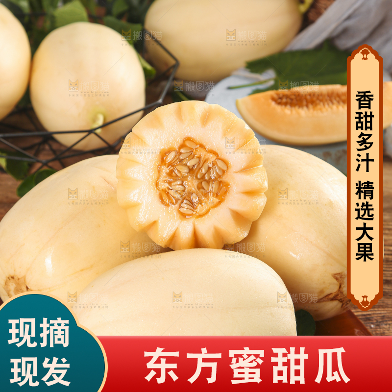 木底上摆放着州东方蜜一号甜瓜