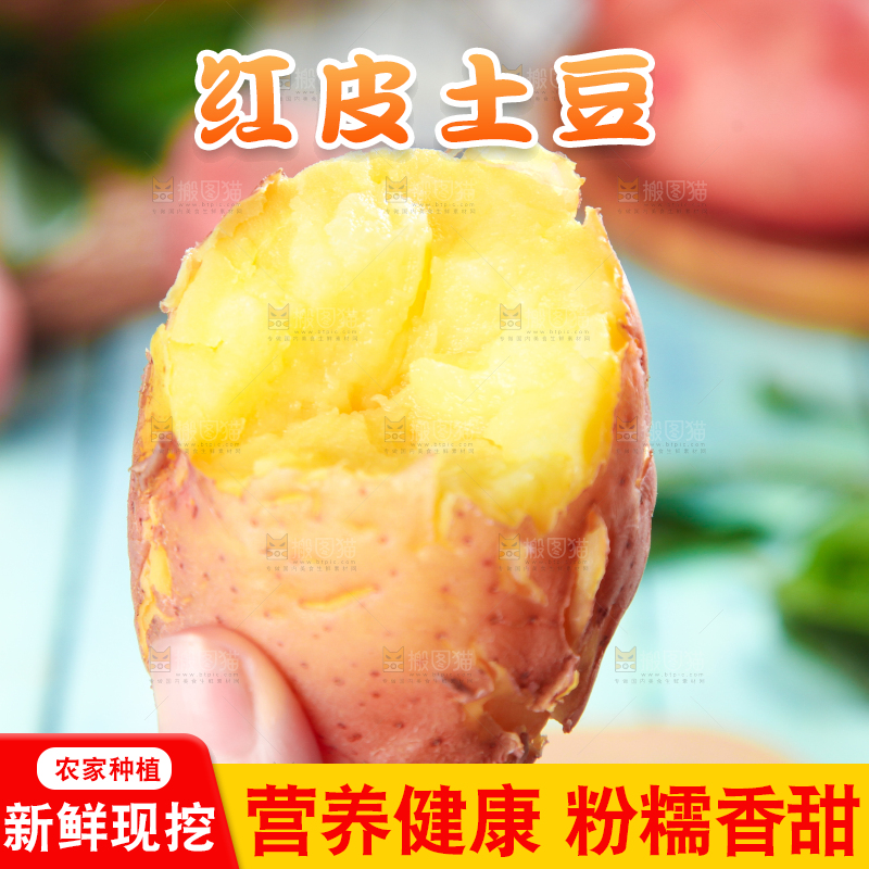 手里拿着红皮土豆