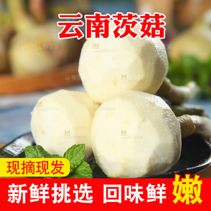 盘子里装着白慈菇