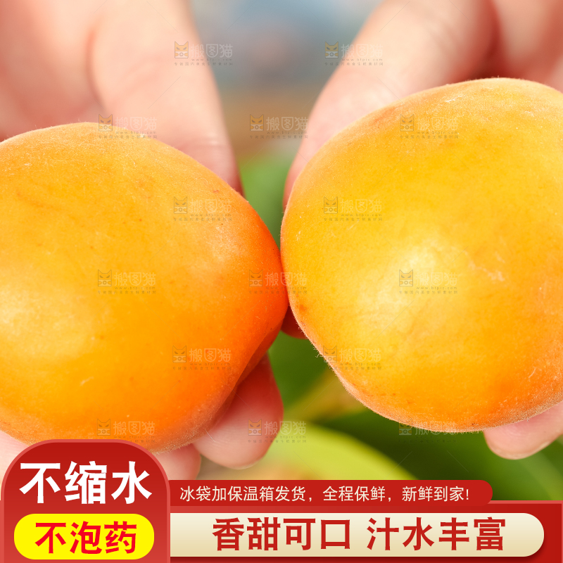 手里拿着黄杏