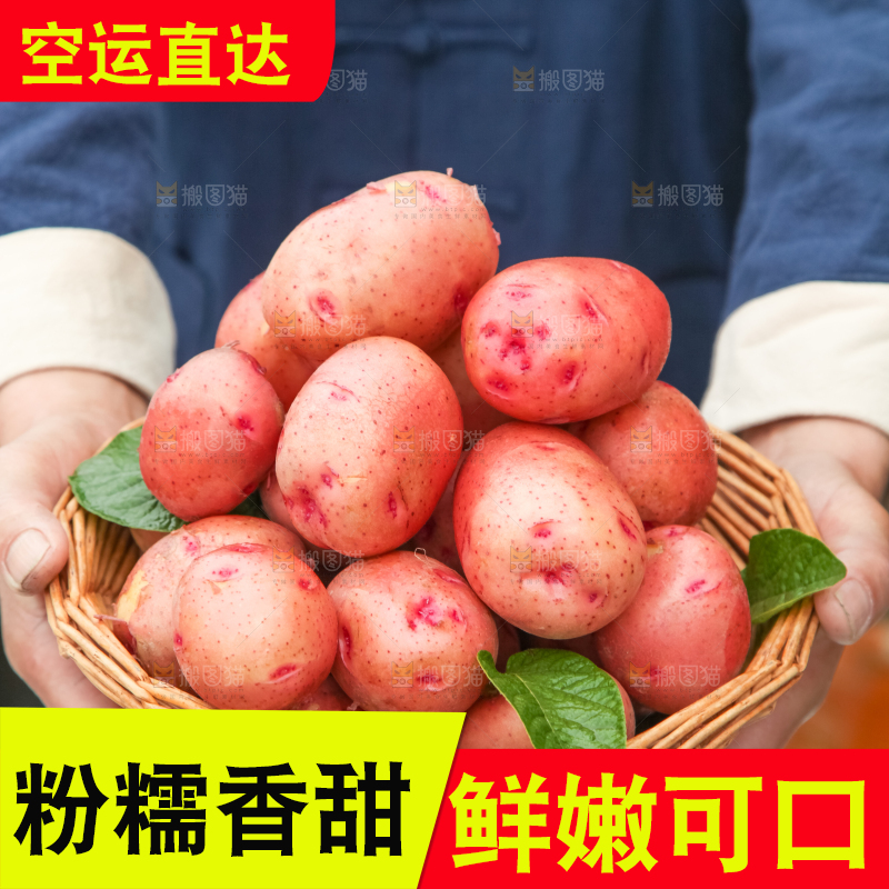 手里捧着一篮土豆