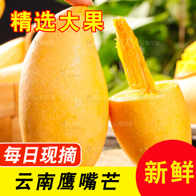 木板上放着云南鹰嘴芒