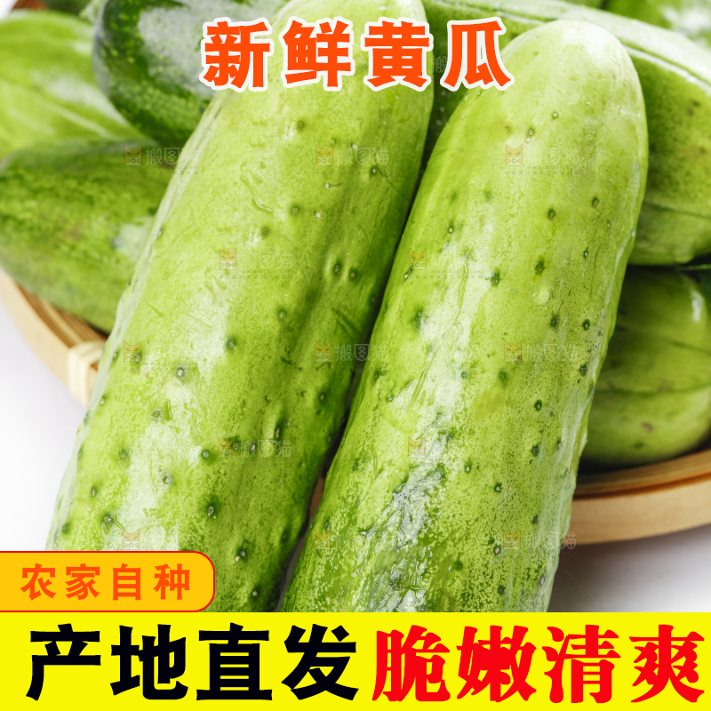 篮子里装着蔬菜黄瓜