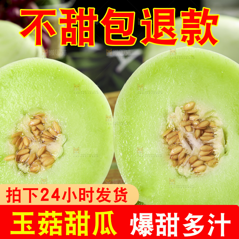 木底上摆放着南汇玉菇甜瓜