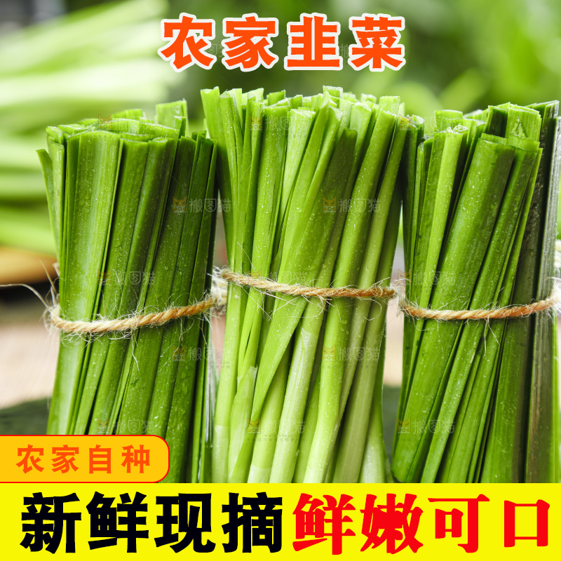 黑石上摆放着嫩韭菜