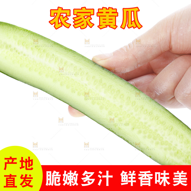 手里拿着嫩黄瓜