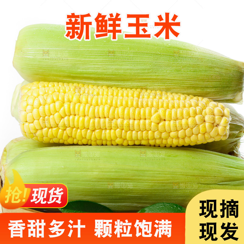 篮子子装着玉米棒