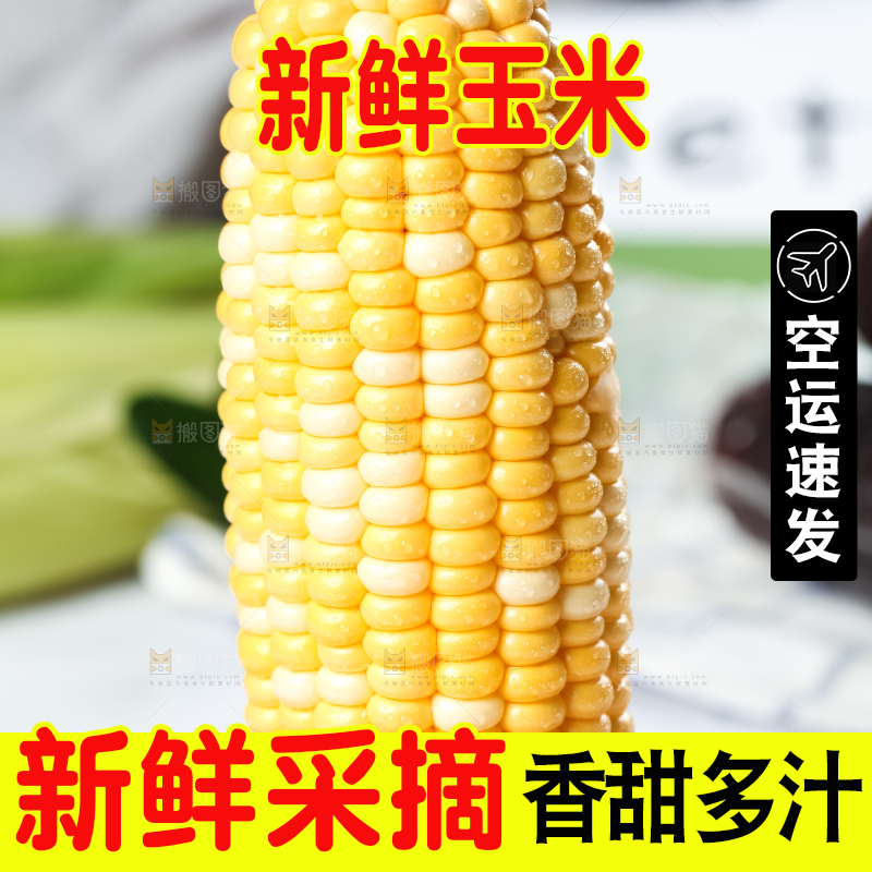 木底上放着黄玉米